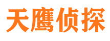 麦盖提市侦探调查公司